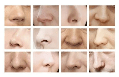 english nose shape